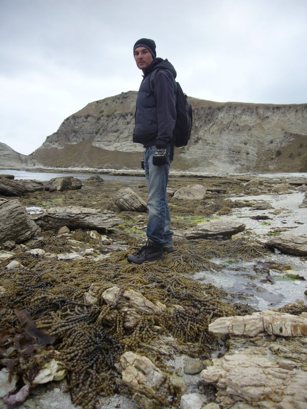 Kaikoura Again